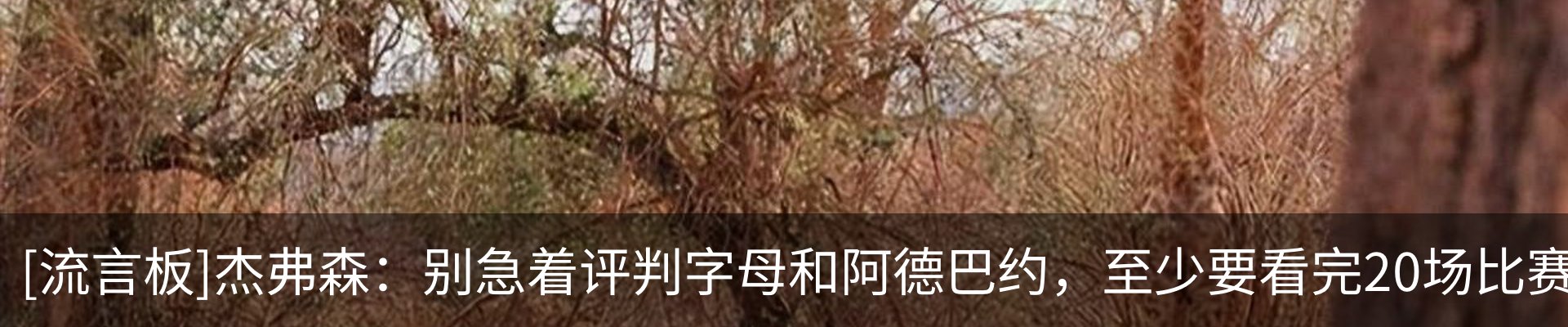 最新动态
